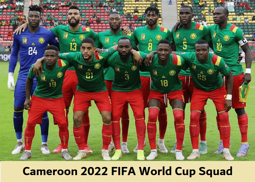 cameroon best goal in world cup 2022